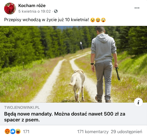 Zrzut ekranu posta na profilu Kocham róże z załączonym artykułem z portalu towjenowinki.pl. Nad linkiem z artykułem zdjęcie mężczyzny na spacerze z psem. Mężczyzna idzie leśną drogą, trzyma w ręku smycz.