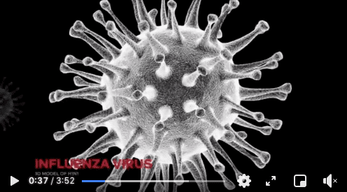 Stopklatka filmu z wystąpieniem Billa Gatesa podczas konferencji w 2015 roku - zdjęcie cząsteczki wirusa.