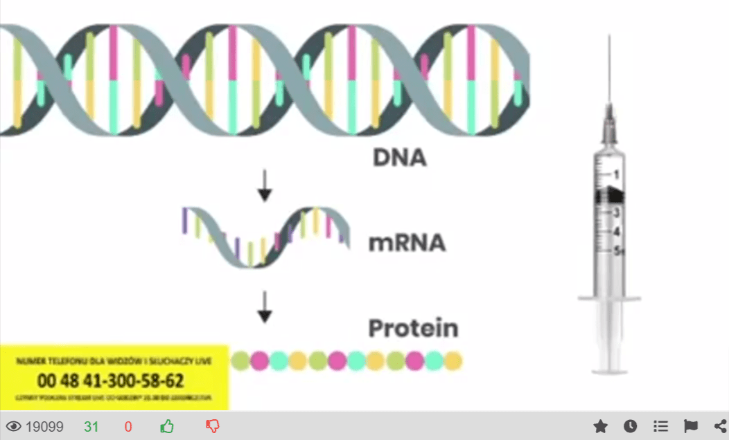Zrzut ekranu przedstawiający film na platformie BitChute. Na nagraniu znajduje się grafika przedstawiająca strzykawkę z obok przedstawionym schematem, na którym DNA przekształcane jest w mRNA, a następnie w białko. Film obejrzało ponad 19 tys. osób.