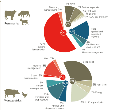Wykres kołowy przedstawiający udział poszczególnych gazów cieplarnianych w ogólnej emisji z podziałem na rodzaj zwierząt hodowlanych. Wśród przeżuwaczy dominuje emisja metanu (58 proc. całej emisji), z kolei u zwierząt monogastrycznych największy udział ma dwutlenek węgla (58 proc. całej emisji).