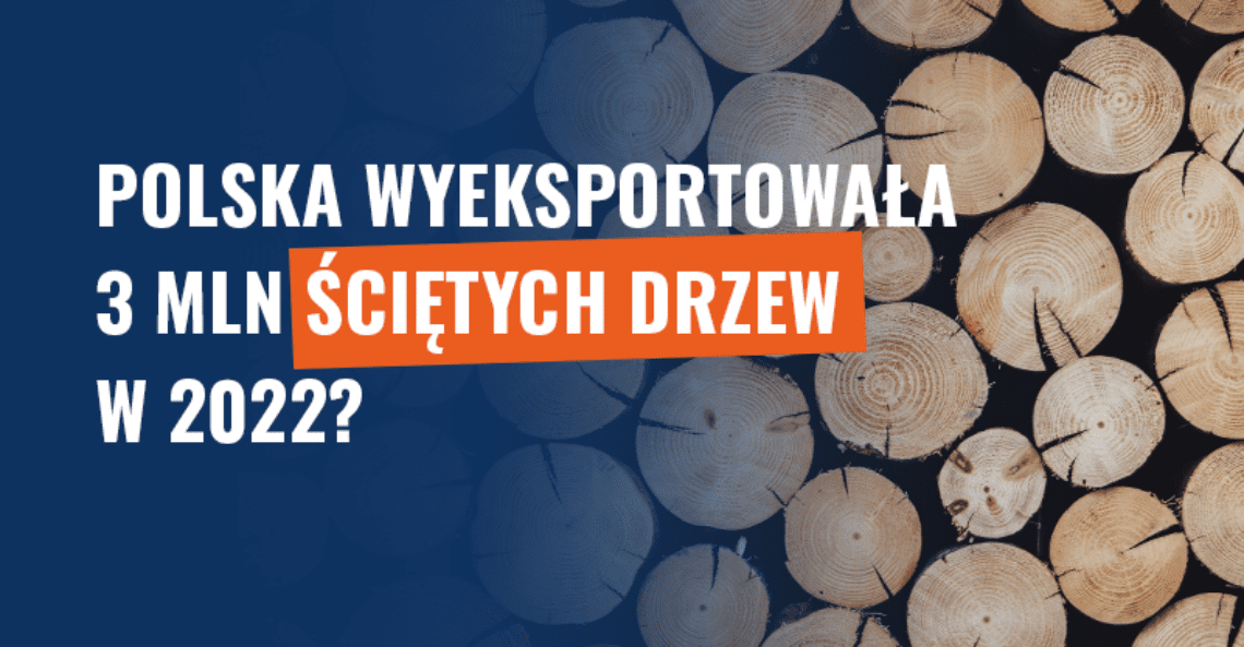 Polska wyeksportowała 3 mln ściętych drzew w 2022? Wyjaśniamy!
