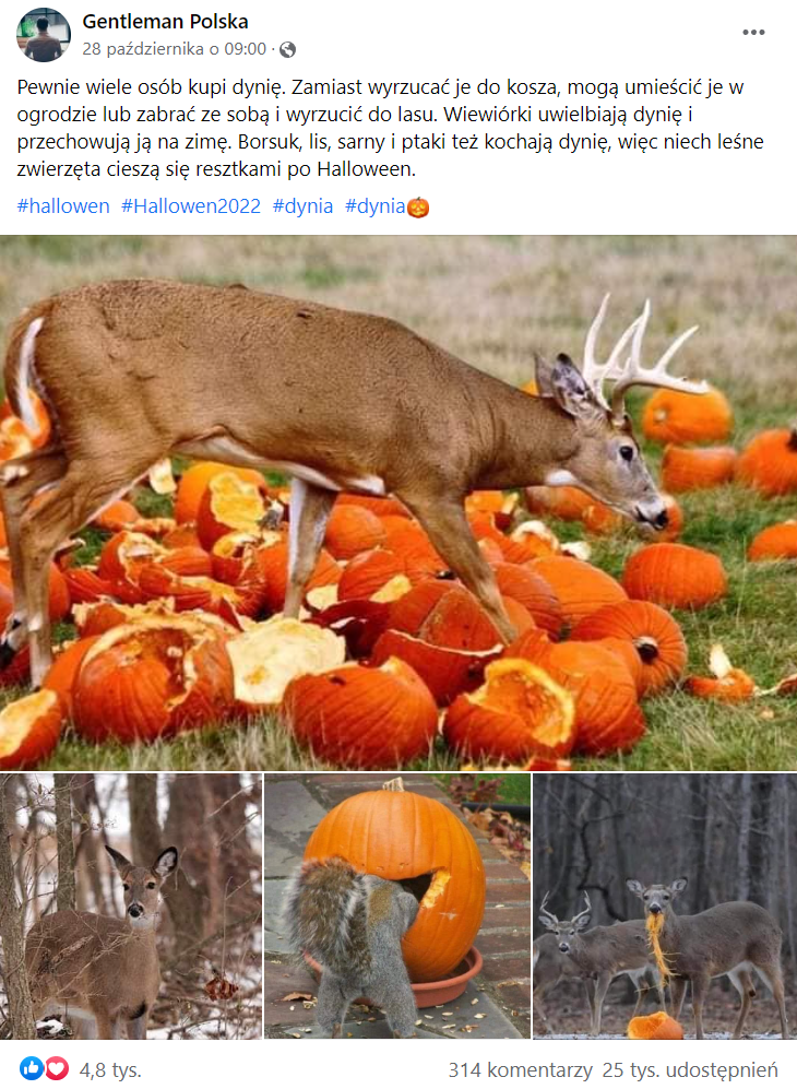 Zrzut ekranu wpisu na Facebooku, w którym zachęcano do wyrzucania dyni w lesie. Do posta dołączono zdjęcia, które miały przedstawiać różne zwierzęta zajadające się dynią.