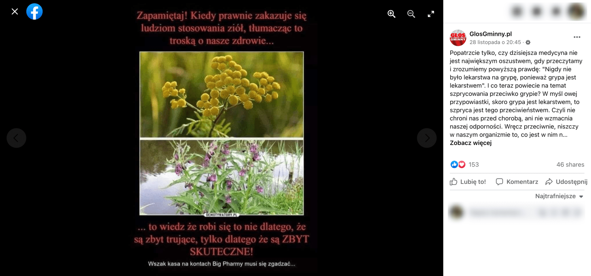 Zrzut ekranu opisywanego posta na Facebooku. Widoczne są zdjęcia polnych roślin. Wpis zdobył ponad 150 reakcji i ponad 40 udostępnień.