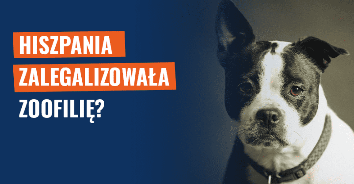 Zdjęcie psa na tle nazwy analizy: czy Hiszpania zalegalizowała zoofilię?