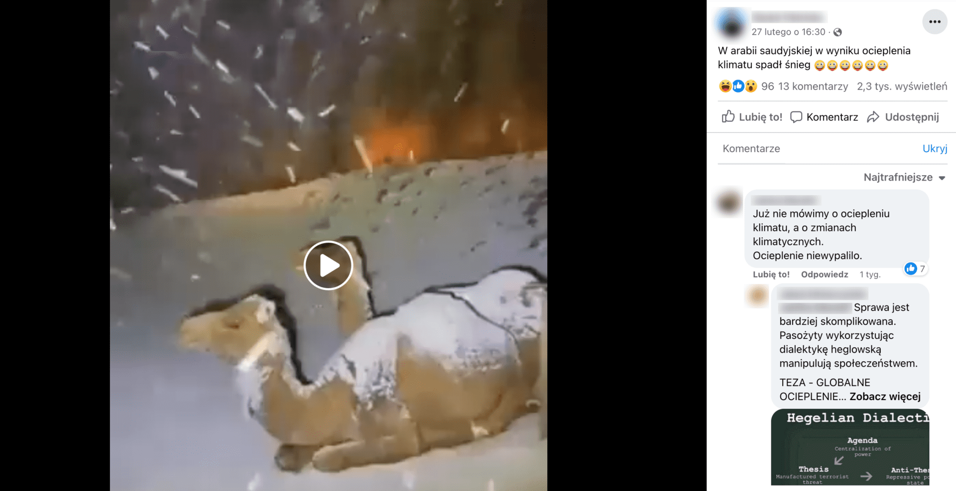 Zrzut ekranu posta o treści „W Arabii Saudyjskiej w wyniku ocieplenia spadł śnieg” uzupełniony emotikonami z wystawionym językiem. Do posta dołączono film przedstawiający leżące wielbłądy w czasie opadów śniegu.