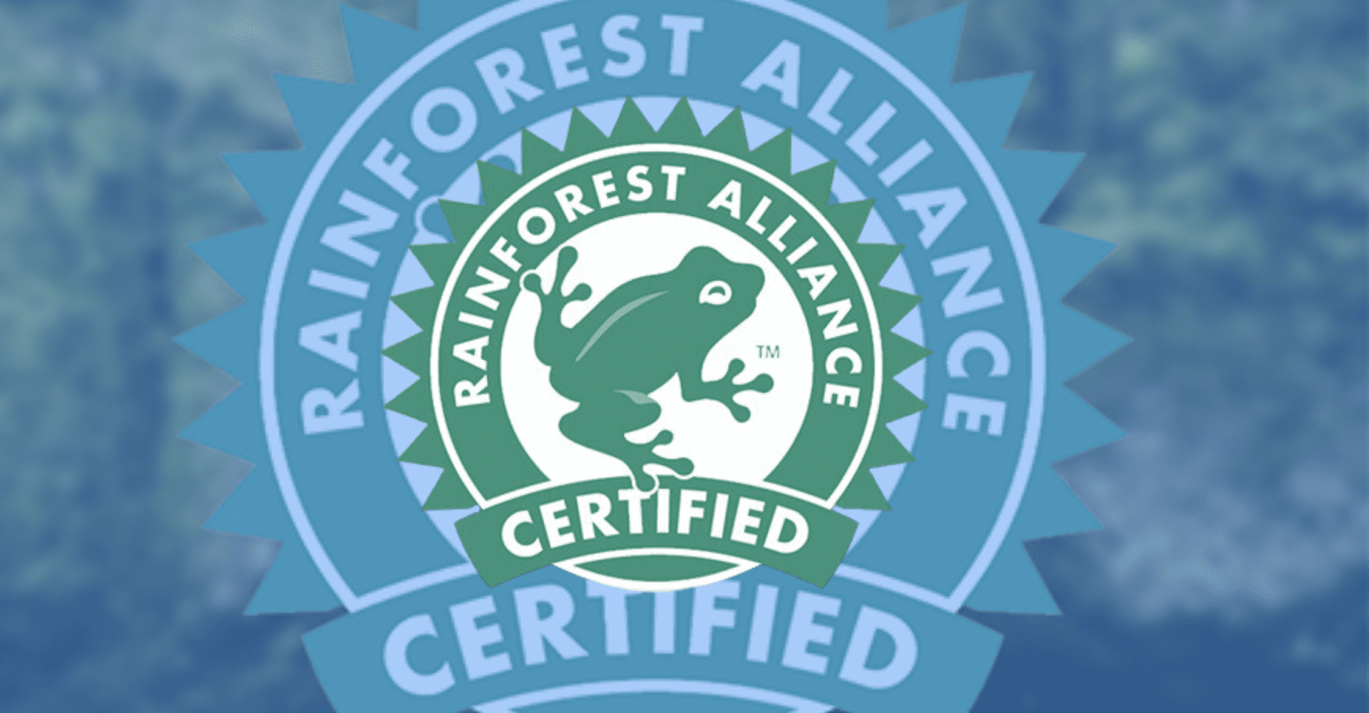 Czym jest oznaczenie Rainforest Alliance? Wyjaśniamy