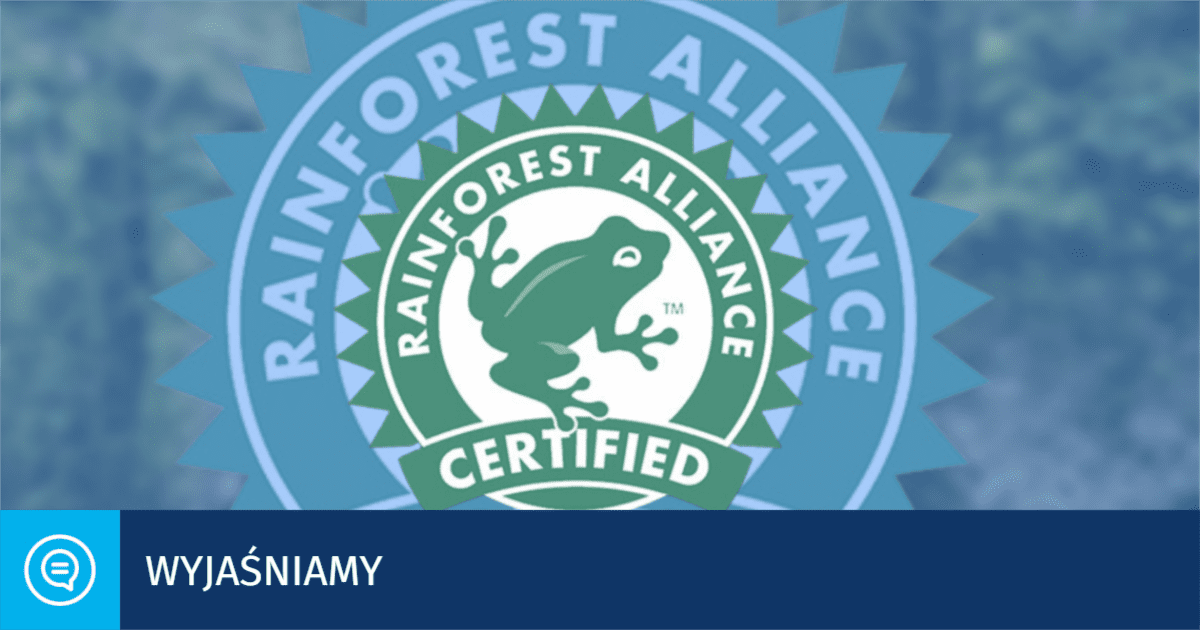 Czym jest oznaczenie Rainforest Alliance? Wyjaśniamy