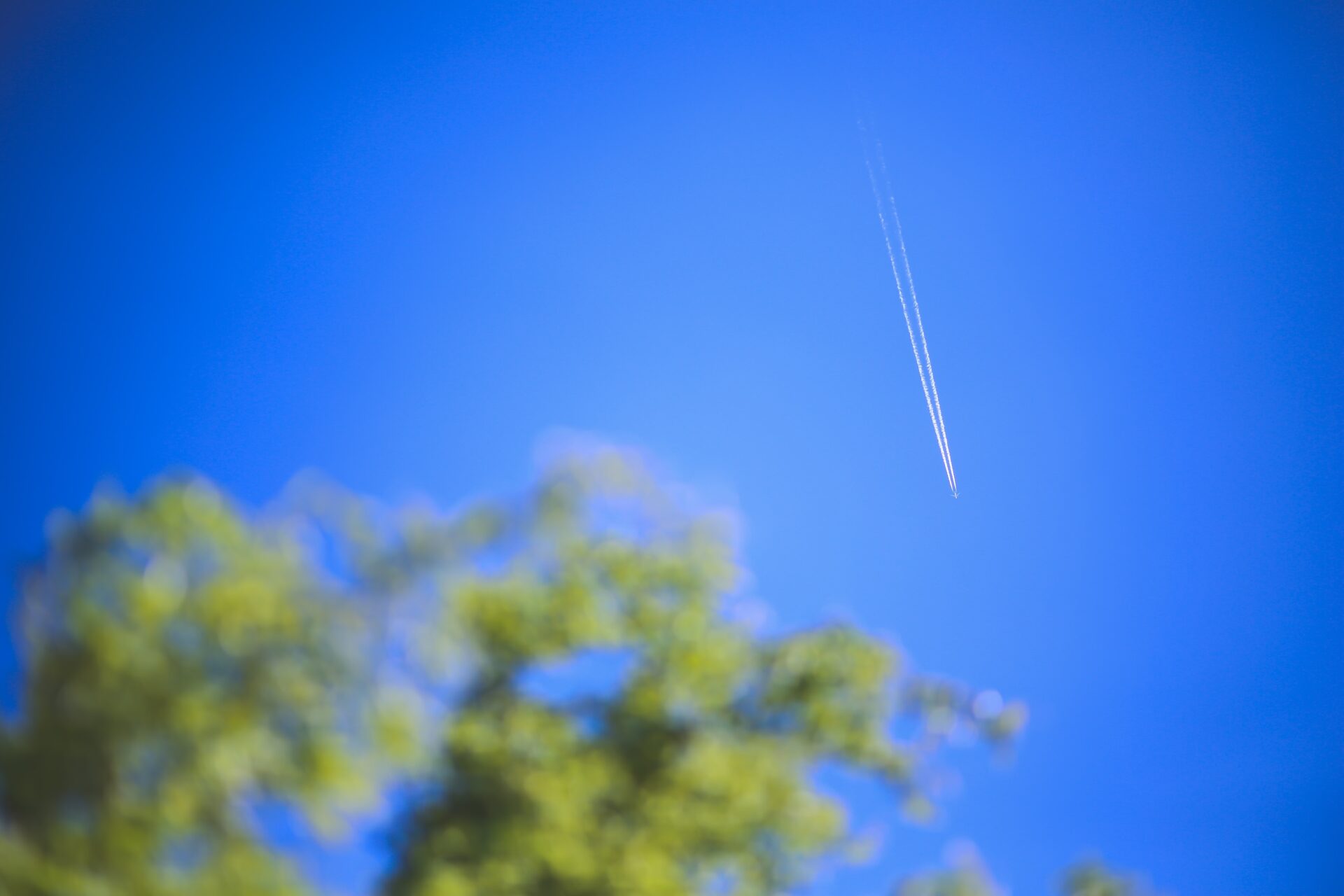 Błękitne niebo a na nim biała smuga chemiczna pozostawiona przez samolot.