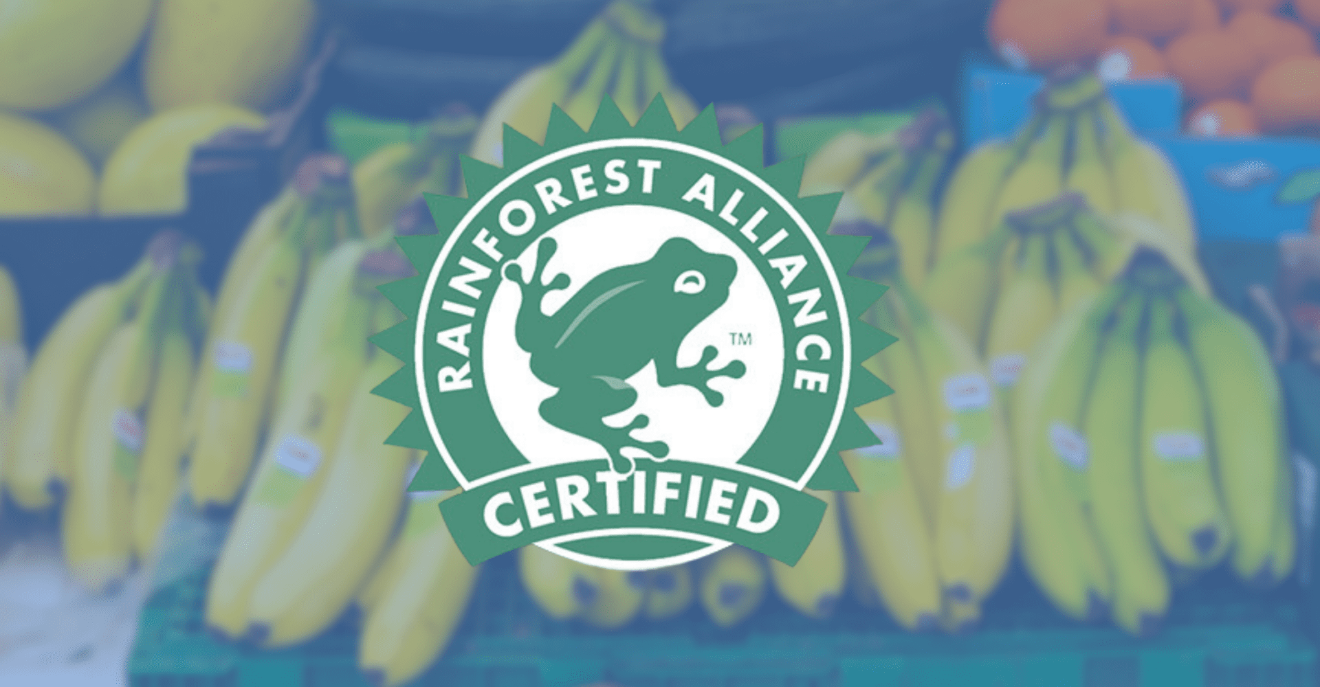 Znaczek Rainforest Alliance z żabą.