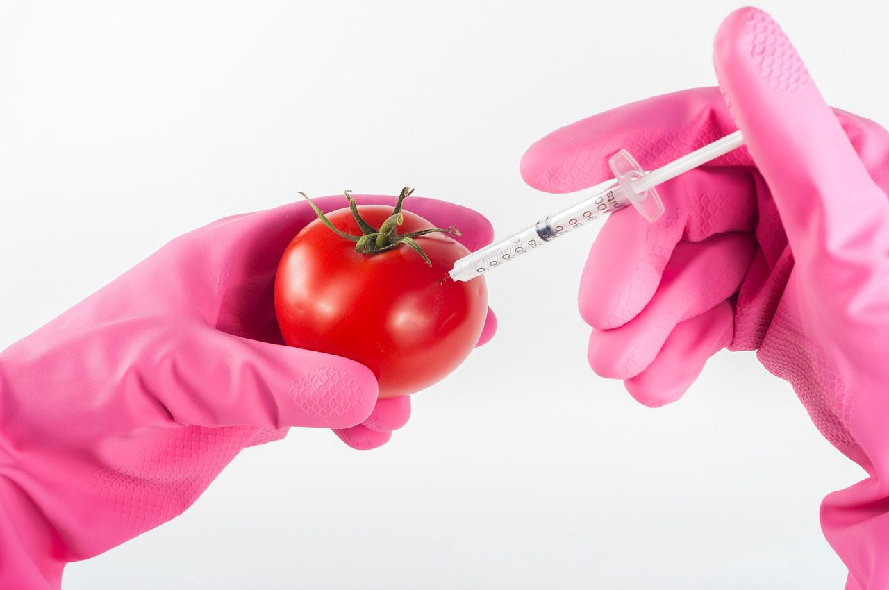 Osoba mająca na rękach różowe rękawiczki w jednej ręce trzyma pomidora, a w drugiej strzykawkę, która jest wbita w warzywo.