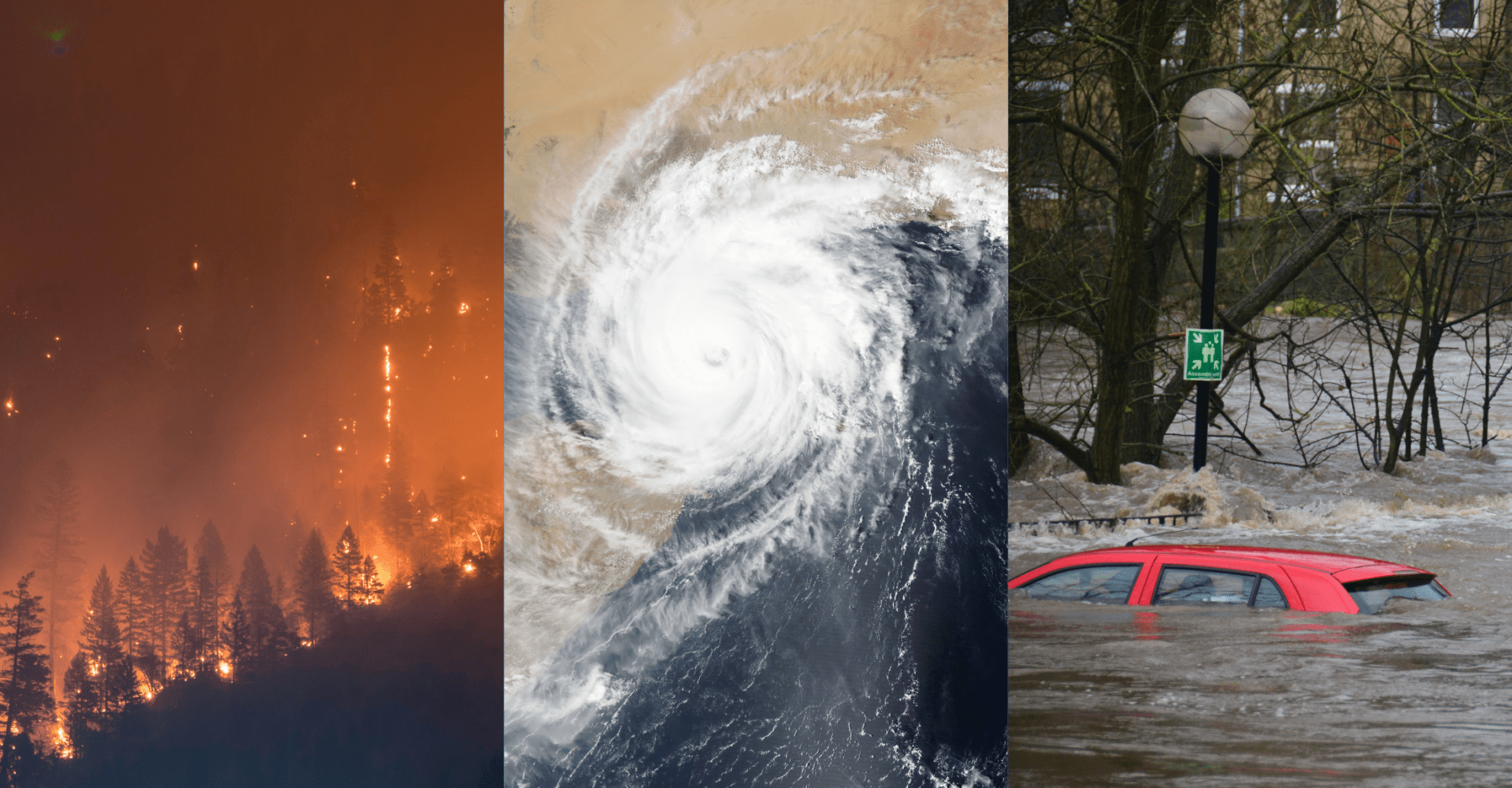 Pożar, huragan i powódź