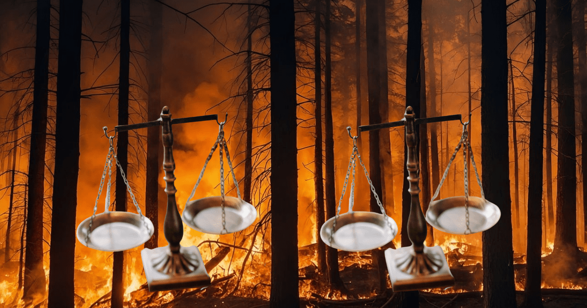 pożar i wagi sądowe