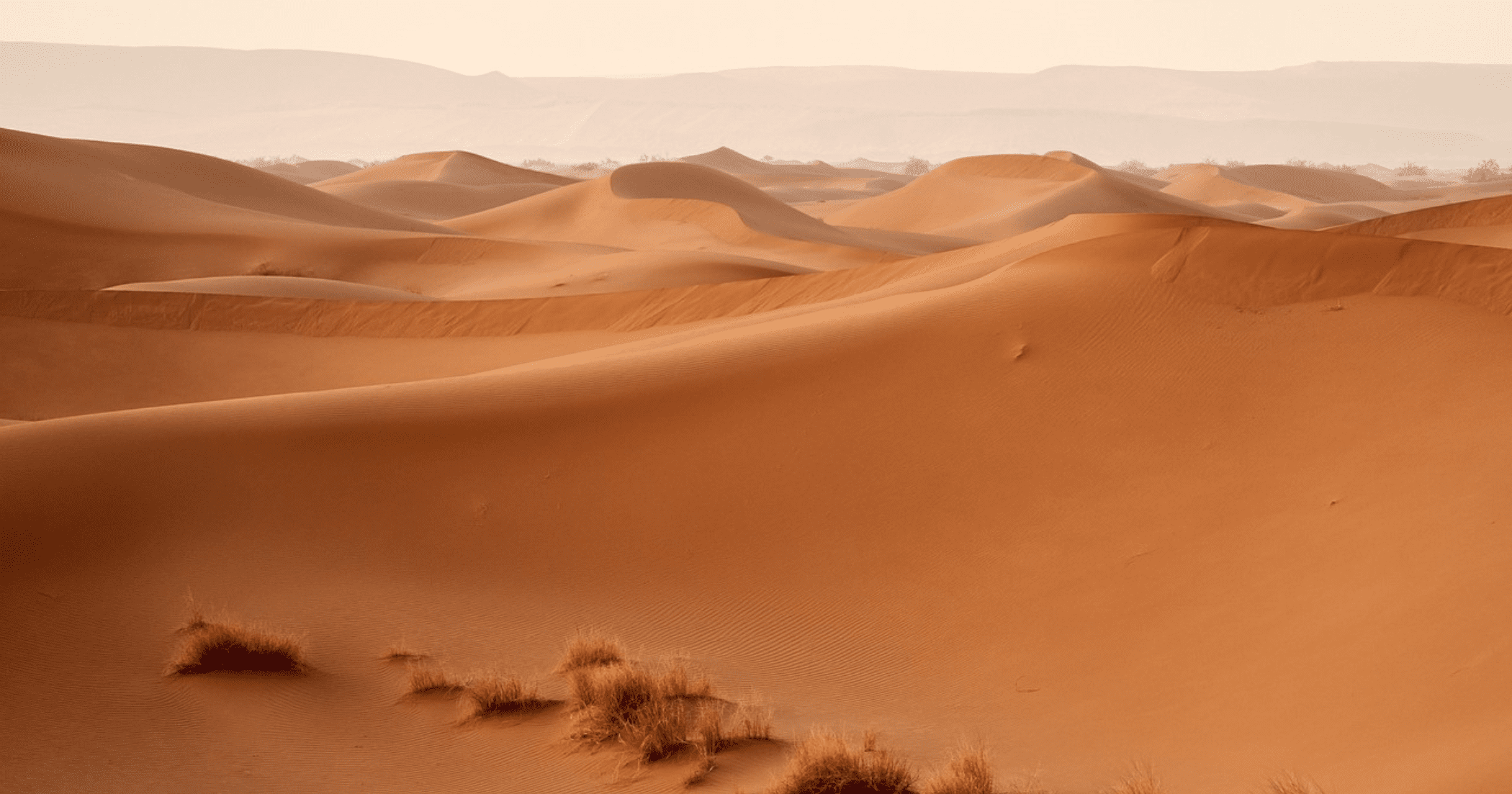 Sahara, pustynia z piaszczystymi wzgórzami