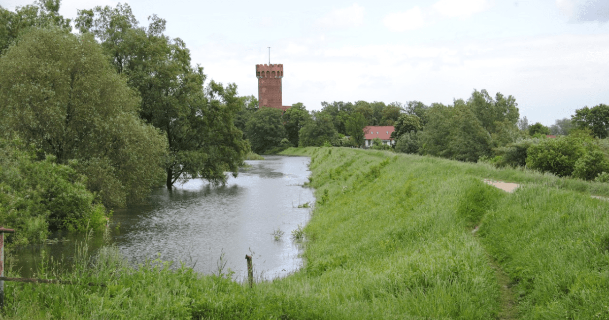 Wał przeciwpowodziowy nad Wdą w Świeciu (po lewej stronie wału widoczny podtopiony teren)