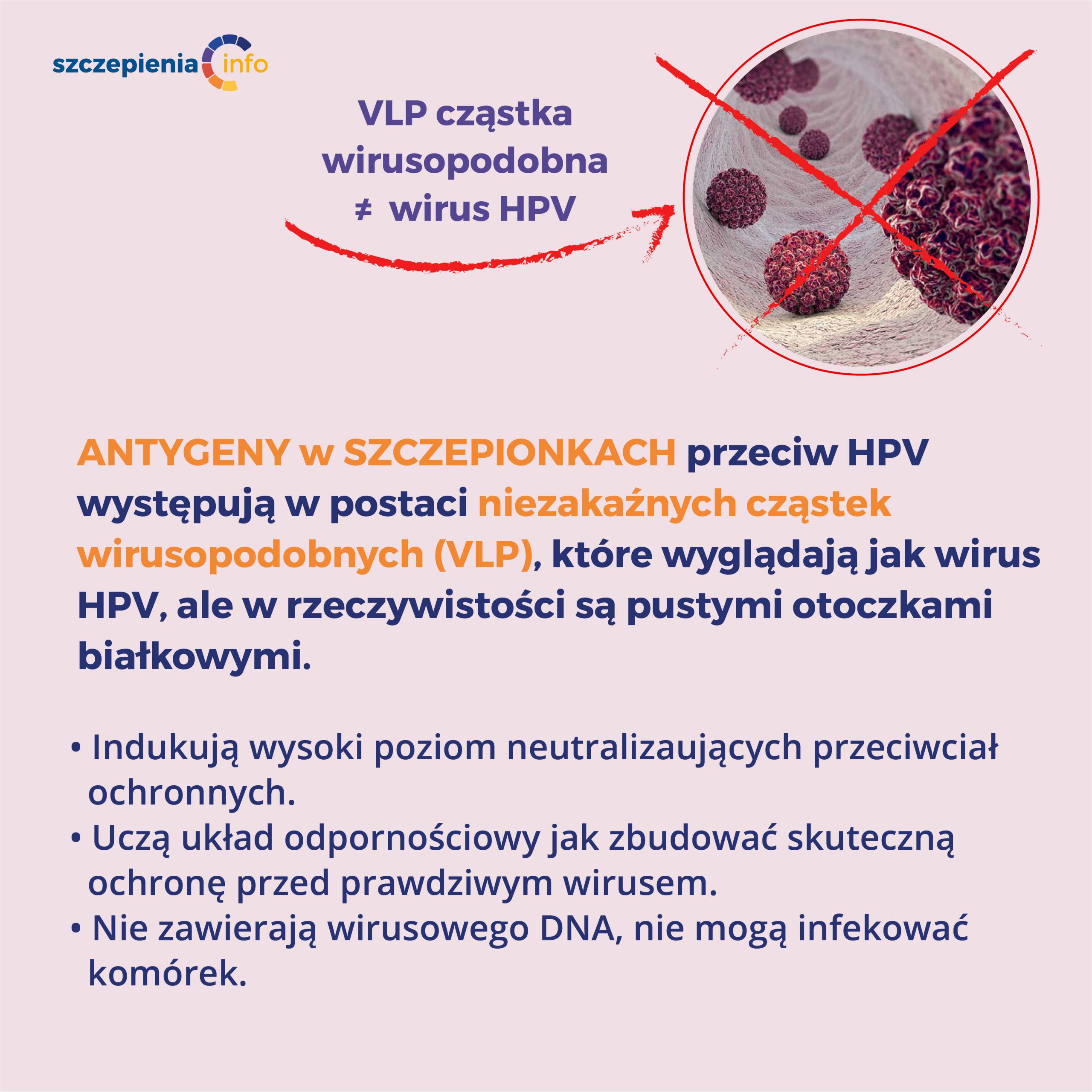 Infografika ze strony szczepienia.info dotyczące składu szczepionek przeciw HPV 