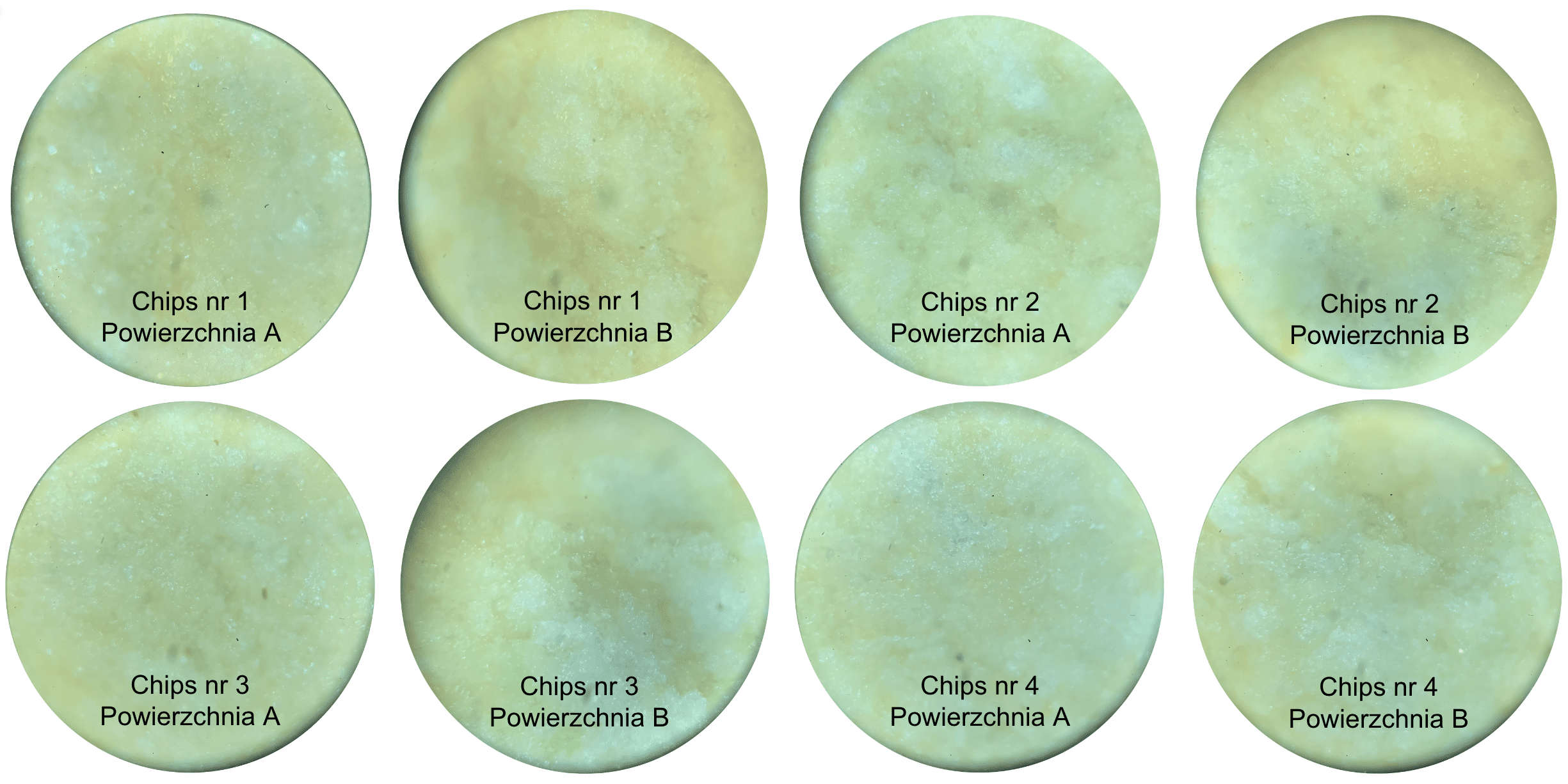Porównanie ośmiu zdjęć obserwacji mikroskopowej obu powierzchni czterech badanych chipsów ziemniaczanych.