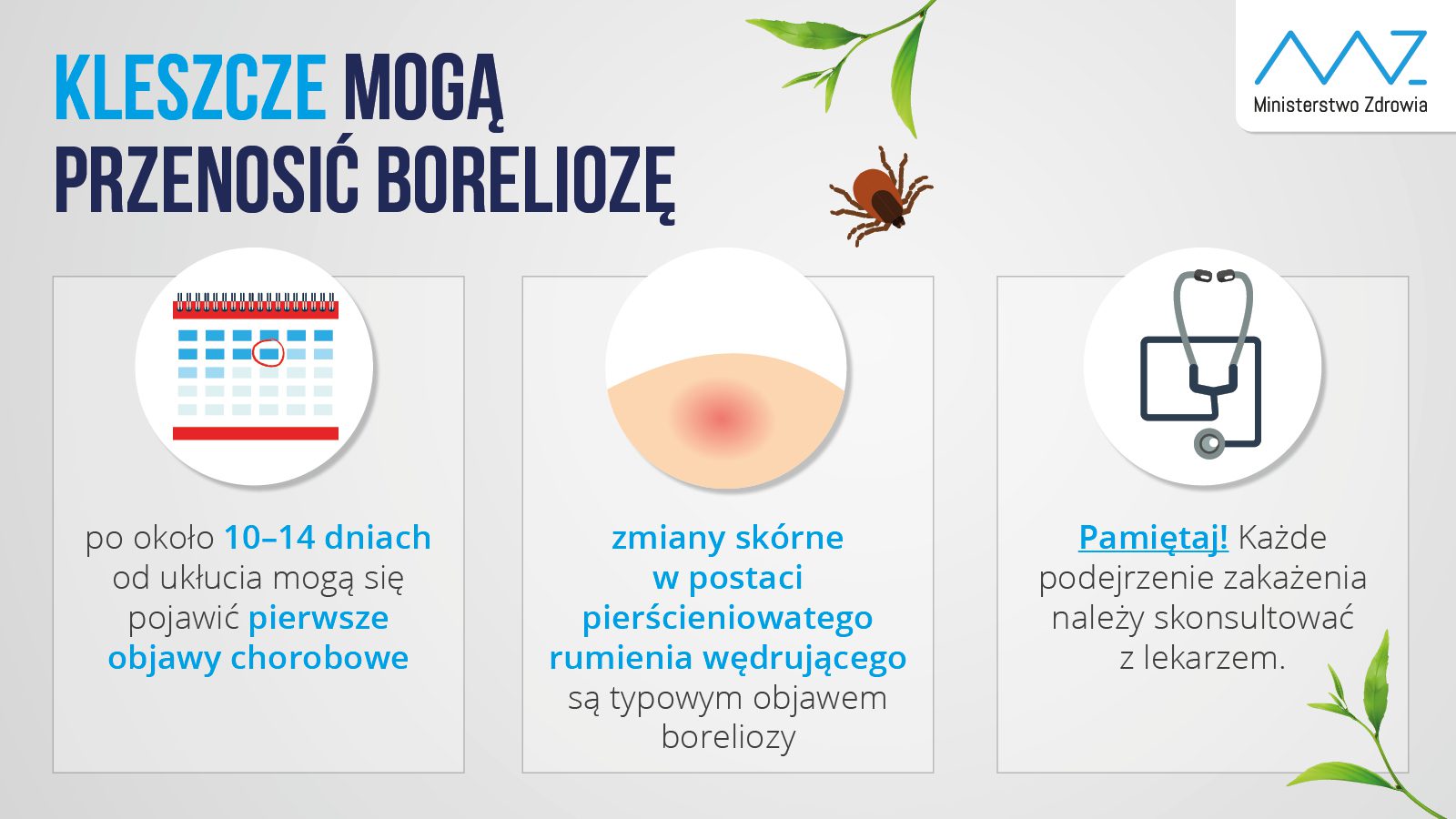 Graficzna informacja Ministerstwa Zdrowia o przenoszonej przez kleszcze boreliozie. Pierwsze oznaki choroby pojawiają się po około 10-14 dniach od ukłucia, a typowym objawem jest rumień wędrujący. Każde podejrzenie zakażenia należy konsultować z lekarzem.