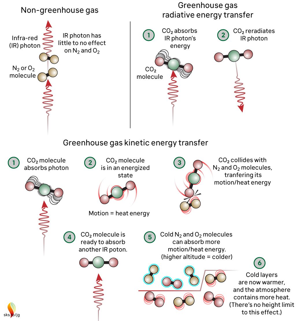 Trzyczęściowy obraz wyjaśniający mechanikę działania wymiany ciepła CO2Część 1 - Gaz cieplarniany: Pokazuje cząsteczkę N2 lub O2 i foton podczerwieni (IR) wchodzący i wychodzący z podpisem „Foton IR ma niewielki lub żaden wpływ na N2 lub O2”. Część 2 - Radiacyjny transfer energii gazów cieplarnianych: Pokazuje cząsteczkę CO2 pochłaniającą energię fotonu IR w kroku 1 i cząsteczkę CO2 ponownie wypromieniowującą foton IR w kroku 2. Część 3 - Kinetyczny transfer energii gazów cieplarnianych: Krok 1: Cząsteczka CO2 pochłania foton Krok 2: Cząsteczka CO2 znajduje się w stanie naenergetyzowanym, w którym ruch = energia cieplna. Krok 3: CO2 zderza się z cząsteczkami N2 i O2, przenosząc swój ruch/energię cieplną Krok 4: Cząsteczka CO2 jest gotowa do absorpcji kolejnego fotonu IR. Krok 5: Zimne cząsteczki N2 lub O2 mogą pochłonąć więcej energii ruchu/ciepła (większa wysokość = zimniej). Krok 6: Zimne warstwy są teraz cieplejsze, a atmosfera zawiera więcej ciepła (nie ma limitu wysokości dla tego efektu).