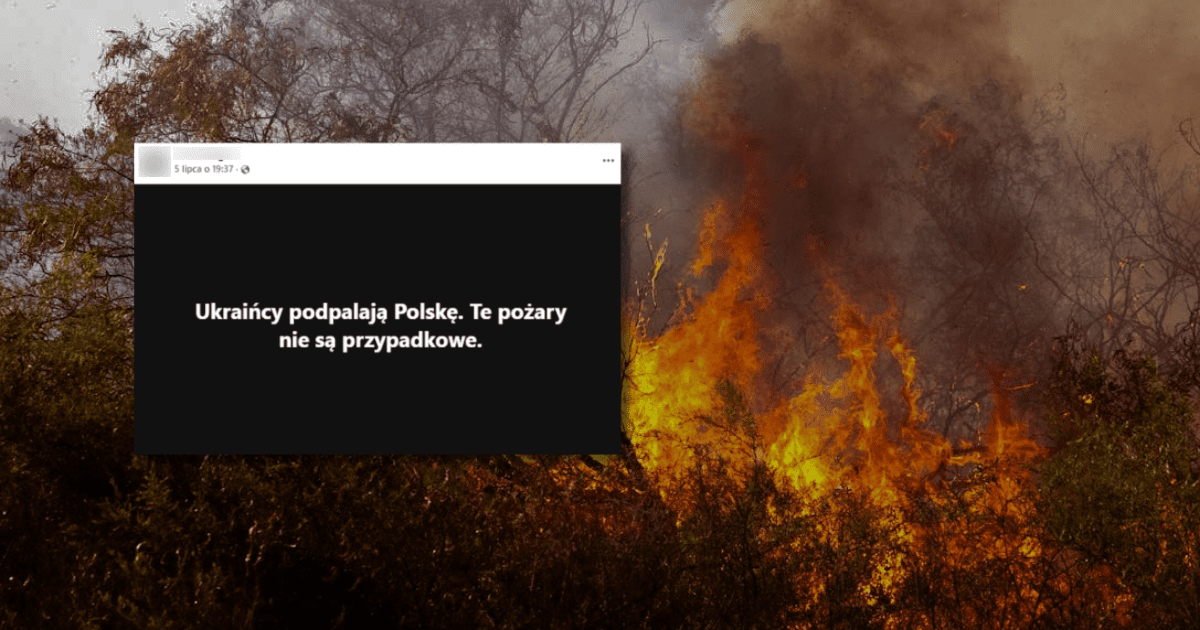 w tle pożar lasu, zrzut ekranu z Facebooka